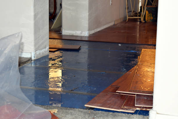 Professional Burst Pipe Cleanup technician working in Camp Dennison, OH